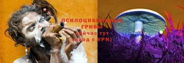 соль курить ск Алексеевка